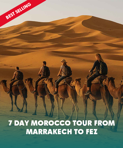 7day Private Morocco Tours
